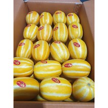 산지직송 당도선별 석군성주참외 5.5kg, 성주참외 가정용 5.5kg랜덤 마감재포함