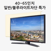 썬가드 대형 TV 일반 보안기 벨트형 40인치 이상, 60인치 일반보안기, 1개