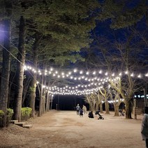 파티라이트 스트링라이트 전등선 야외조명 경관조명 루프탑 캠핑 까페 펜션용 감성조명 무드조명 15M 25구, 파티라이트 15M25구, BLACK