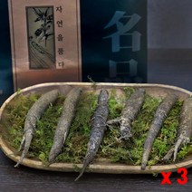더덕 강원도 횡성 자연산 국내산 야생더덕 산더덕 깐더덕 더덕주 더덕요리 더덕구이 더덕장아찌 더덕무침 더덕차 생더덕 명절 선물세트 섬유질, 더덕세트(9~12뿌리) 3세트