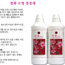 민플 1 000ml 생화 수명연장제 (국산) 대용량, 1개