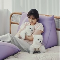 생활특권 등받이 쿠션 쇼파 쿠션 삼각 쿠션, 퍼플