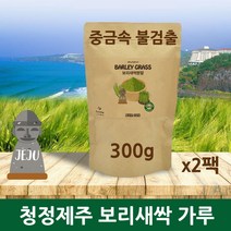 새싹보리분말 국산 새싹 보리순 추출분말 뿌리 씨앗 가루 차 제주도 어린 보리싹 파우더 착즙 폴리코사놀 사포나린 혈관청소 독소빼는 체지방 복부 뱃살 관리, 2개, 300g