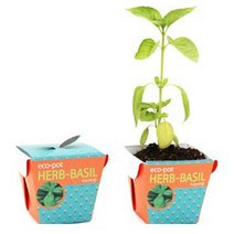 [RA㏓] 에코팟 허브 바질 식물 키우기 테라스텃밭 씨앗선물 책상 미니화분 베란다 실내 재배 키트 새싹 기르기 옥상 꽃키우기 채소키우기 ▷_§Ea, 《본상품》