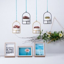 자체브랜드 행잉 화분 다육이 미니 플랜트 도자기 철제 벽걸이, 블랙