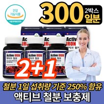 캐나다 직수입 성장기 어린이 청소년 성인 남자 여자 임신부 임산부 수유부 가임기 여성 액티브 프리미엄 철분 철분제 헴철, 100정, 3개