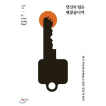 당신의 팀은 괜찮습니까:최고 성과를 창출하는 팀의 리더십 원칙, 행복한북클럽