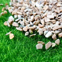 마이플랜트 목문석 20kg 대포장, 목문석 0호(5~8mm) 20kg