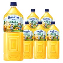 썬키스트 훼미리 제주감귤담은 2L x 6펫, 썬키스트 훼미리 제주감귤담은 2, 2000ml