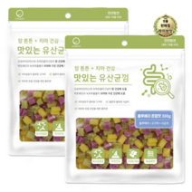 라이브잇 굿데이 맛있는 유산균껌 강아지 간식, 30개, 300g, 블루베리혼합