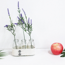 내추럴 원통유리화병 대형유리병 3p 카페 거실, 대