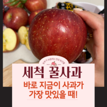 껍질채 먹는 세척사과 경북 부사 고당도 꿀사과, (정품)소과 22-24과