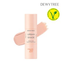 듀이트리 [듀이트리] 어반쉐이드 피치 라이크 톤업 선스틱 13g SPF50+PA++++, 선택완료, 선택완료, 단품없음