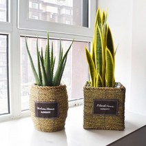 라탄화분바구니 인테리어 바구니 베이직, 원통형 스몰