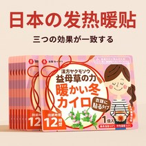 일본 배에붙이는 핫팩 일회용 군용 대용량 파스형 캠핑 발가락 깔창 발바닥, 100개, B