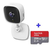 티피링크 Tapo C110 CCTV 카메라 + Micro SD 카드 256GB(포함)