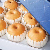 [농부마음] 나주 산지직송 나주 꿀 배 3kg 5kg 7.5kg 15kg 명절 과일 선물용 & 가정용 햇배 신고배 선물 세트, 1box, 가정용 5kg 7-10과