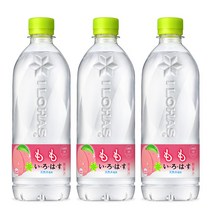 이로하스 피치 음료, 555ml, 3개입