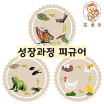 (당일발송)포베어 어린이 교육 장난감 성장과정 13종 유치원 어린이집 학습 유아 교구 놀이 모형, 09) 개미