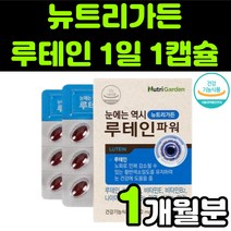 뉴트리가든 루테린 LUTEIN 뉴테인 직장인 청소년 50대 60대 부모님 비타민 A E 베타카로틴 눈 안구 건강 노안 노화 흐림 침침 영양제 추천 아연 마리골드 꽃 추출물 캡슐, 1박스(1개월분)