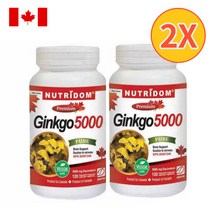 (2팩 할인세트) 뉴트리돔 징코 50배 농축 은행잎 추출물 5000 100mg 120정 식물성캡슐 N177