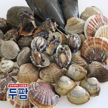 두팜 조개구이 2kg 세트 조개모듬 캠핑조개, 고급세트 (키조개미포함) 2kg 내외