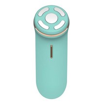 무선 주파수 뷰티 악기 마사지 RF EMS Iontophoresis 장치 소닉 페이셜 클렌징 브러시 전체 방수 실리콘, 02 TL0104-Blue
