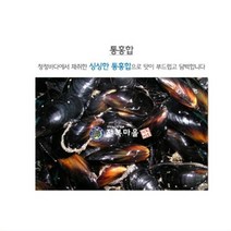 홍합(피홍합) 3kg 생홍합 통홍합 섭 담치 홍합국 홍합탕, 피홍합(통홍합)3kg
