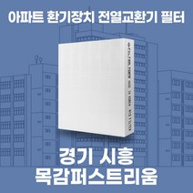 시흥 목감퍼스트리움 아파트 환기시스템 전열교환기 필터 H13등급, 탈취세트(헤파+탈취 일체형1장)