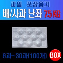 과일포장용 난좌 (배/사과), 20과, 100개