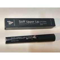립스테인 틴트 Lip stain 유니크한 무드스트크 미네랄 뻣뻣한 윗입술 얼룩덜룩한 립스틱
