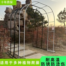 정원 가든아치 단독주택 꾸미기 철제 아치 꽃 선반 등산 등나무 발코니 식물 브래킷 클레 마티스 야외 장미 포도, [20] 폭 3.5높이 2.2, [01] 중간