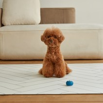 고려화학매트 강아지매트 모던헤링본 (크기선택)