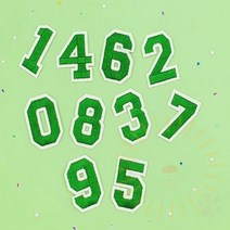 단디 숫자 패치 초록 패치와펜