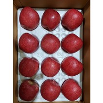 문경 부사 사과 꿀사과 5kg, 특대
