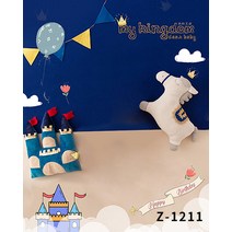 신생아 본아트 50일 100일셀프촬영 스튜디오 아기 사진 배경지, 상세페이지 참조, 상세페이지 참조, C2타입