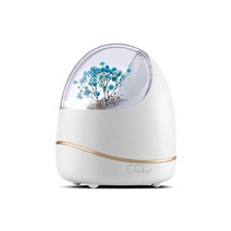 대용량 초음파 가습기 400ML 영원한 꽃 아로마 디퓨저 테라피 공기 LED 램프 홈 향수 에센셜 오일, [01] Eu, [02] White-Blue Flower