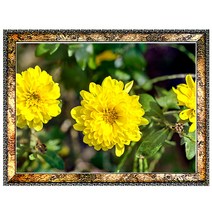 B527-4 국화꽃액자 A3 벽걸이액자 꽃사진 국화사진 풍경화 풍경사진 풍경화그림, 국화꽃사진액자