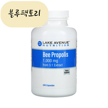 Lake Avenue Nutrition Bee Propolis 레이크 에비뉴 뉴트리션 비 프로폴리스 1000mg 240캡슐, 1팩, 240개