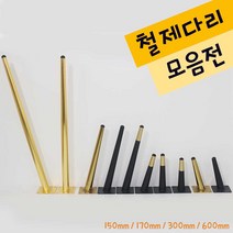 리폼플러스 YS철제가구다리모음 가구다리 상다리 발통 사선다리, 2. YS철사선다리300용_블랙&골드