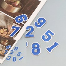 TYDL 의류 패치 숫자 파랑