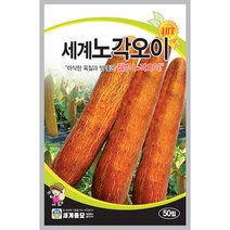 세계노각오이 씨앗 50립 비타민C 함량이 많은 웰빙 채소 세계종묘