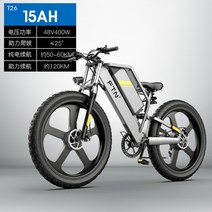 전기자전거 FTN T26 26인치 오프로드 전동자전거 자토바이, 48V, 15AH, A