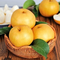 [우체국쇼핑] 전남 나주 안영일님의 나주배5kg 가정용(10-12수), 상세 설명 참조