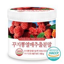푸른들판 국산 꾸지뽕 열매 추출 분말 가루 추출물 국내산 꾸찌뽕 구찌뽕 구지뽕 haccp 인증, 160g, 1통