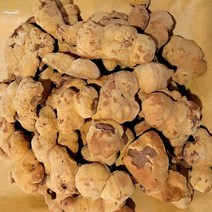 장수상황버섯 500g 알뜰형