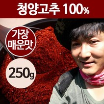 상주이장님농장 23년 국산 햇고춧가루 500g 반 태양초 한근 매운 청양 고추가루, 1봉, 가장매운맛(청양100%) -250g