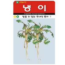 국내 햇종자 냉이씨앗(20000립/소포장)(A0102)