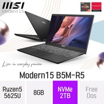 MSI 모던시리즈 모던15 B5M-R5 - AMD 라이젠5 15인치 휴대용 대학생 인강용 문서작업 재택근무용 휴성좋은 노트북, Free Dos, 8GB, 2TB