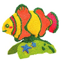 컬러룬 볼클레이 물고기 크라운피쉬, 30개